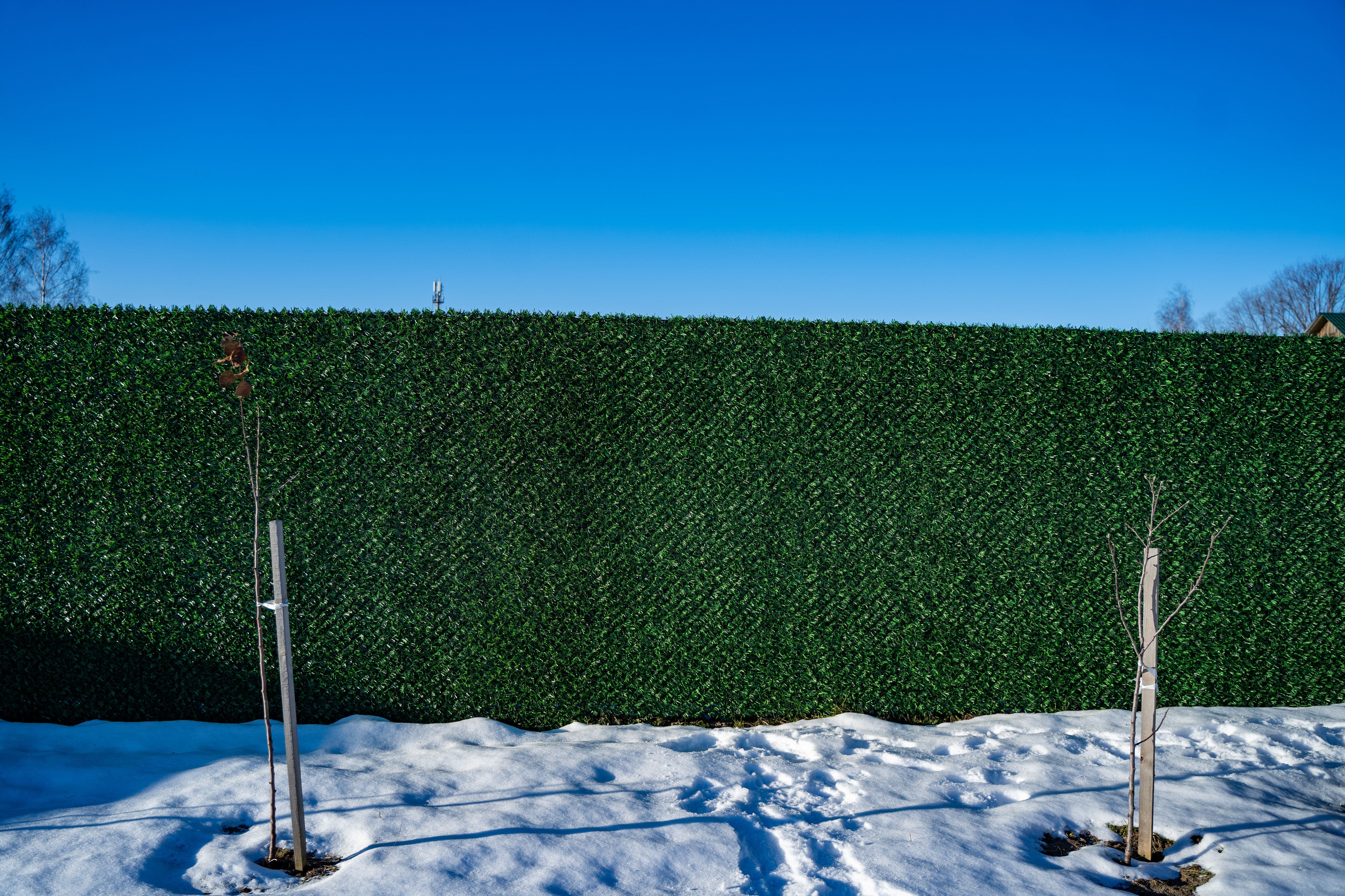 Вечнозеленый забор Grass Fence рулон 2м фото 8 в Переславле-Залесском