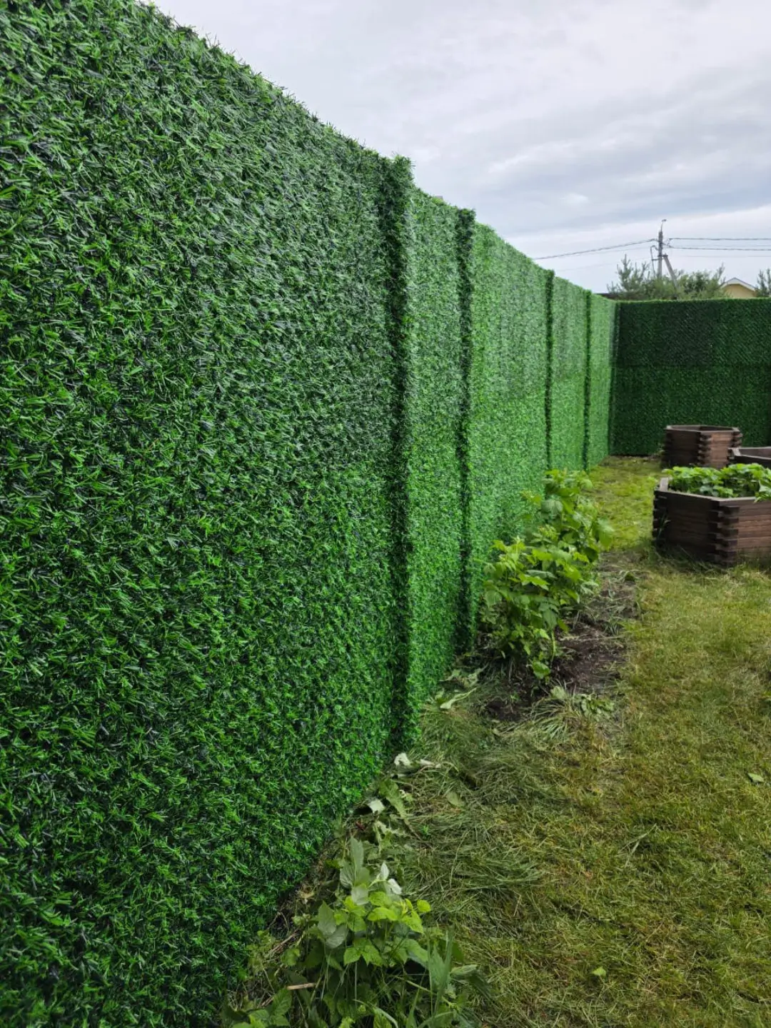 Вечнозеленый забор Grass Fence 37м фото 1 в Переславле-Залесском